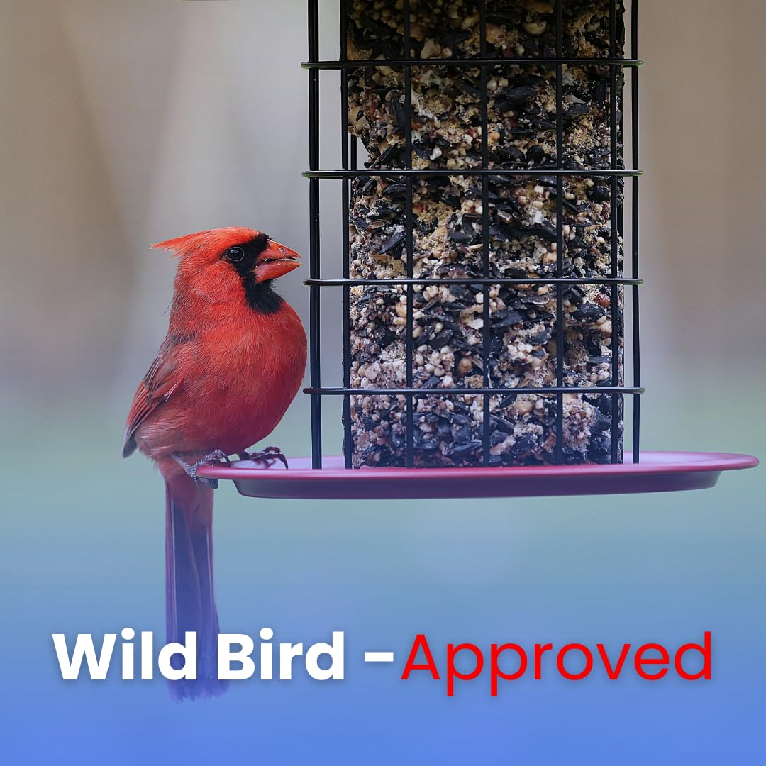 Cardinal Bird Food – Chirp & Maple Dazzle, No Mess Premium Bird Seed for Northern Cardinals, Blue Jays & Grosbeaks, Fruit & Nut Blend with Safflower & Peanuts, 750g