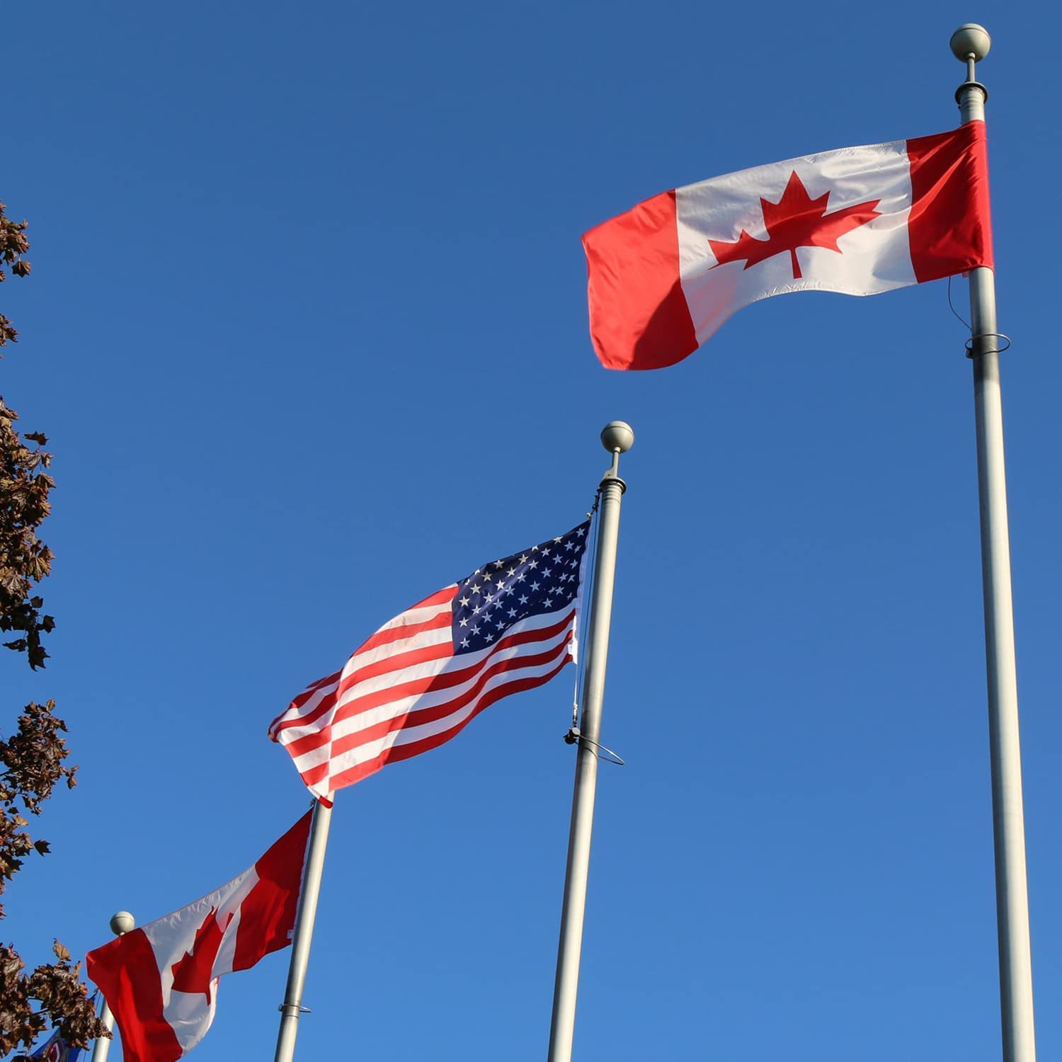 Canada Flag 3x6 Ft Thick Polyester 100D Outdoor Indoor- Vivid Color and Fade Proof,Double Stitched Printed Maple Leaf Canadian Canada Day Decoration Gift Yard House Banner