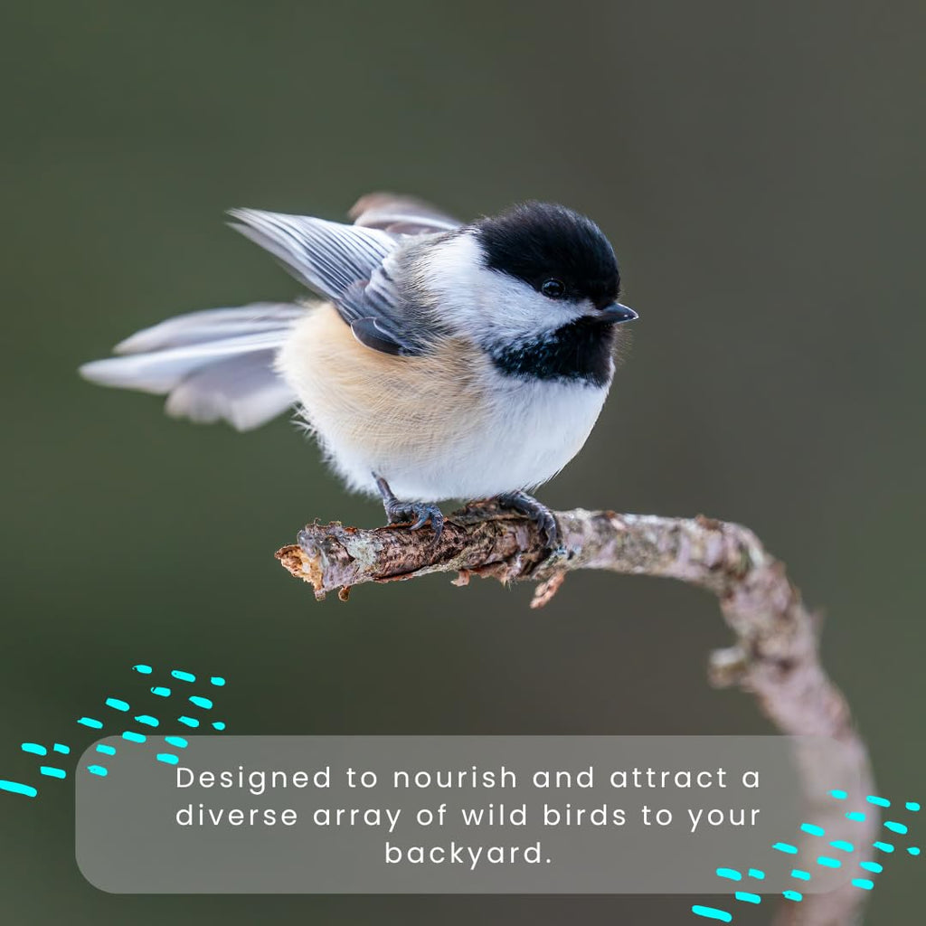 Chirp & Maple, Energy Boost, High-Energy Suet for Wild Birds, Wild Bird Food (3-Pack) 900G