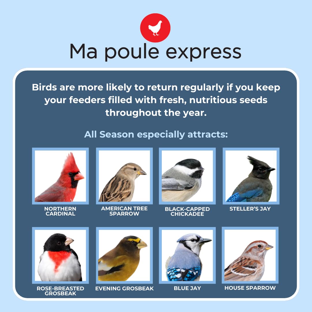 Ma Poule Express - Proudly Canadian Bird Feed – 2.27 kg | Wild Bird Seed Mix | Premium Bird Food for Feeders | Sunflower, Millet, Corn | Attracts Cardinals, Finches & More ... |