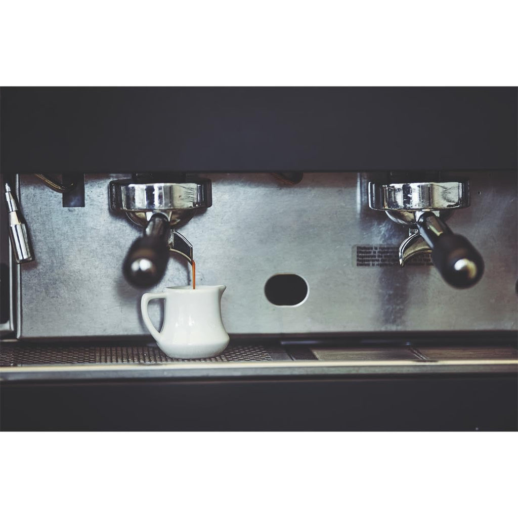 Gaggia Decalcifier Descaler Solution,250ml by Gaggia