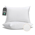 LAVANCE Pillows Queen Size Set of 2, Honeycomb Embossed Fabric Down Alternative Filling Bed Pillows for Sleeping, Luxury Fluffy Hotel Quality for Side, Back, and Stomach Sleepers, 20"x30"