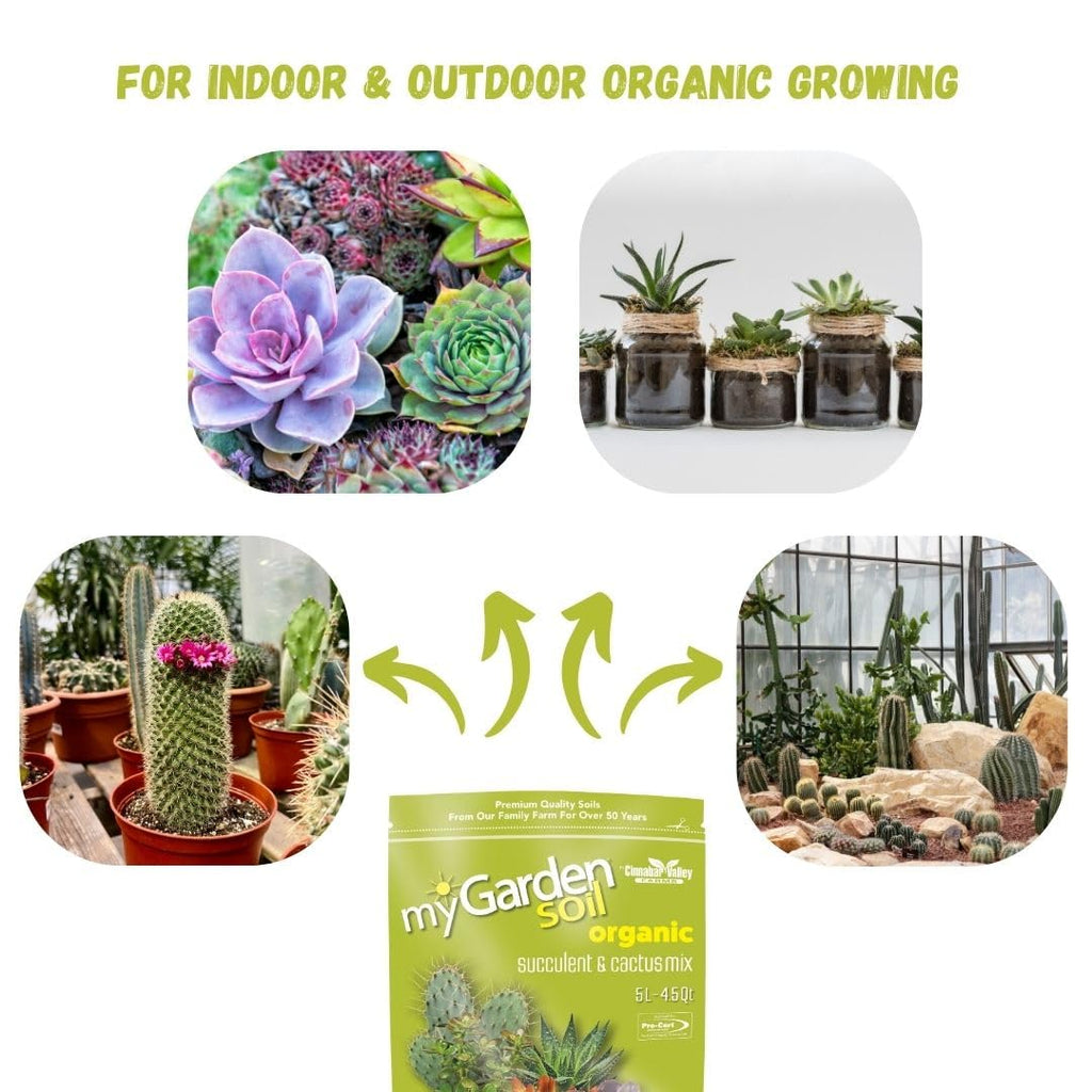 myGarden Organic Succulent & Cactus Soil Mix - 5L | Premium Drainage Blend for Thriving Gardens | Pro-Cert Approved | Nutrient-Rich Formula for Healthy Growth