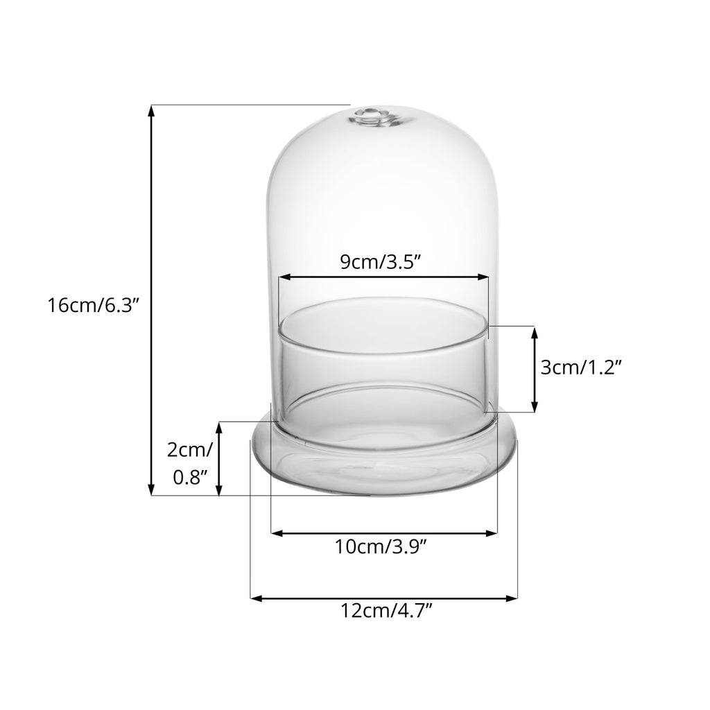 NCYP Small Clear Decorative Glass Terrarium Cloche with Air Hole - 12x12x16 cm Glass Dome with Base for Miniature Succulents - Display Storage (No Plants Included)