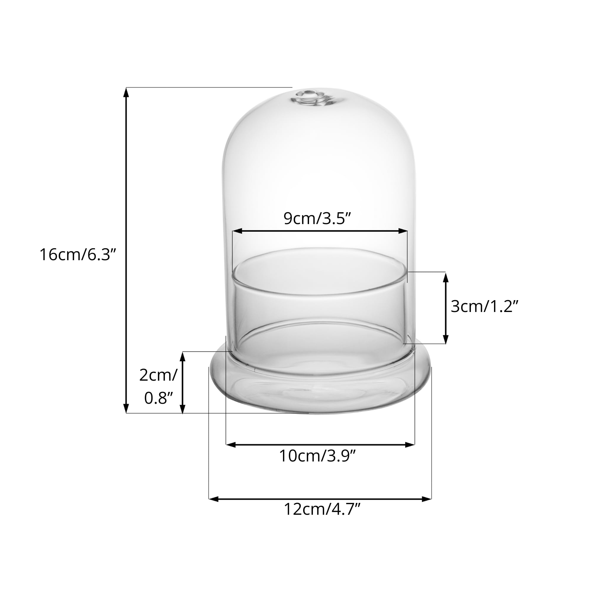 NCYP Small Clear Decorative Glass Terrarium Cloche with Air Hole - 12x12x16 cm Glass Dome with Base for Miniature Succulents - Display Storage (No Plants Included)