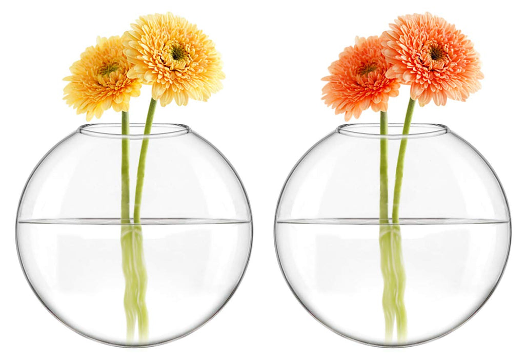 Mkono 2 Pack Glass Wall Hanging Planter Wall Mounted Plant Vase Indoor Air Plants Terrariums for Home Office Living Room Decor Oblate