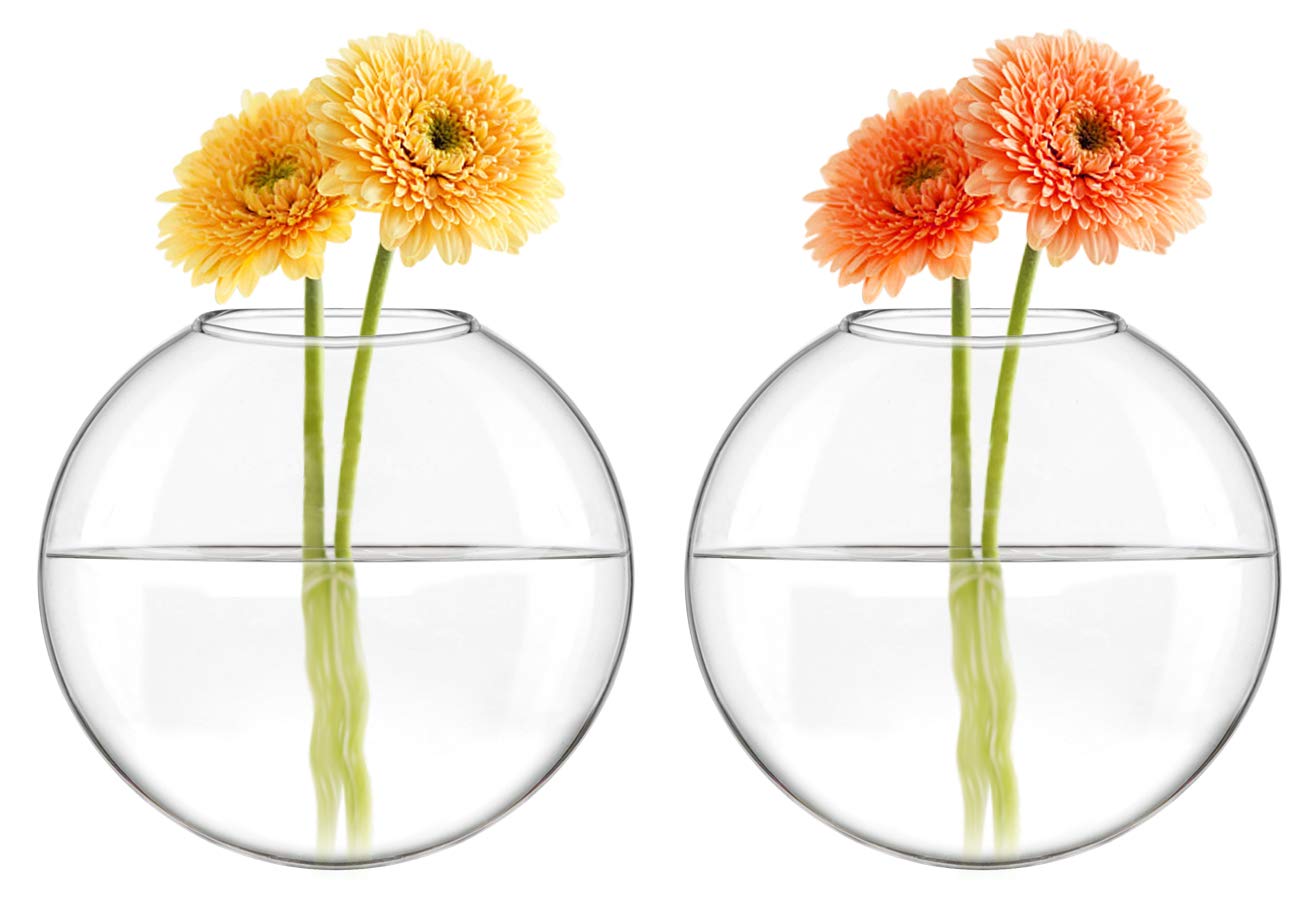 Mkono 2 Pack Glass Wall Hanging Planter Wall Mounted Plant Vase Indoor Air Plants Terrariums for Home Office Living Room Decor Oblate