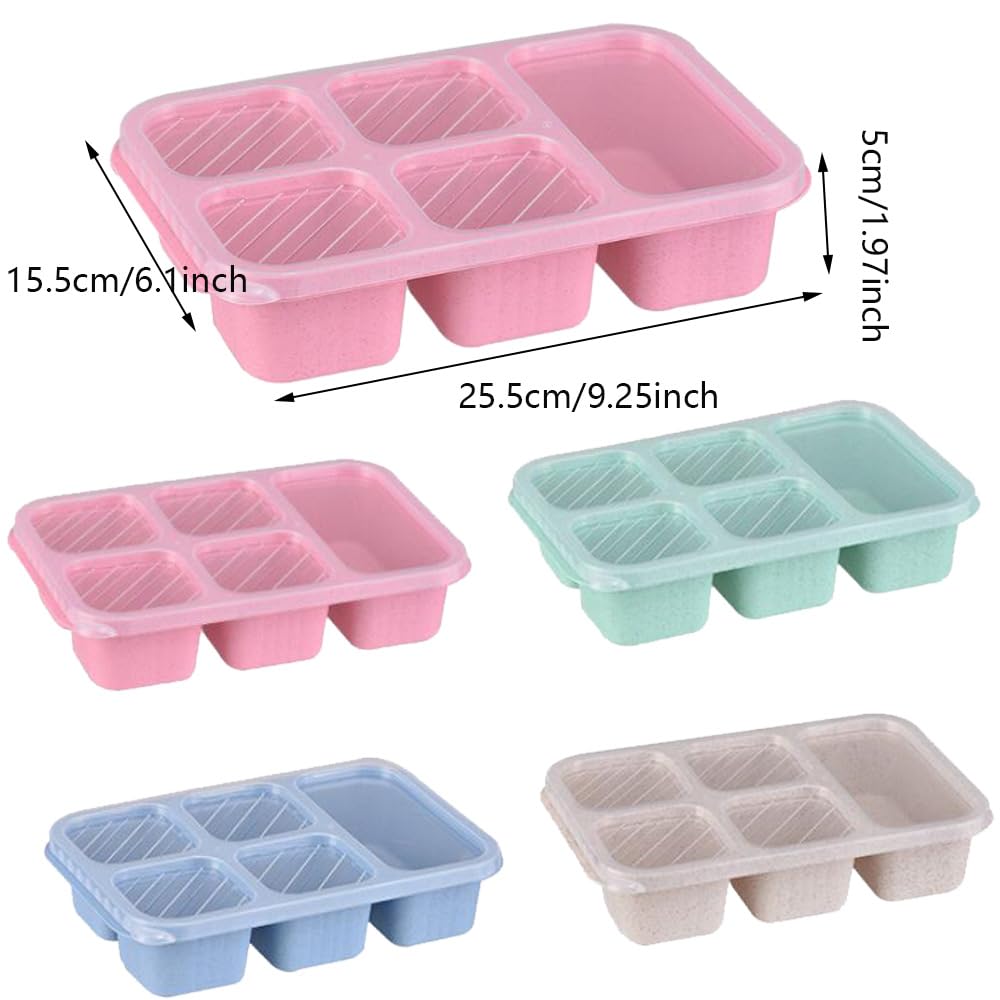 4 Pack Reusable Bento Box Meal Prep Container with Lids 10 forks Lunch Box for Kids Toddler Adults Suitable School Company and Travel
