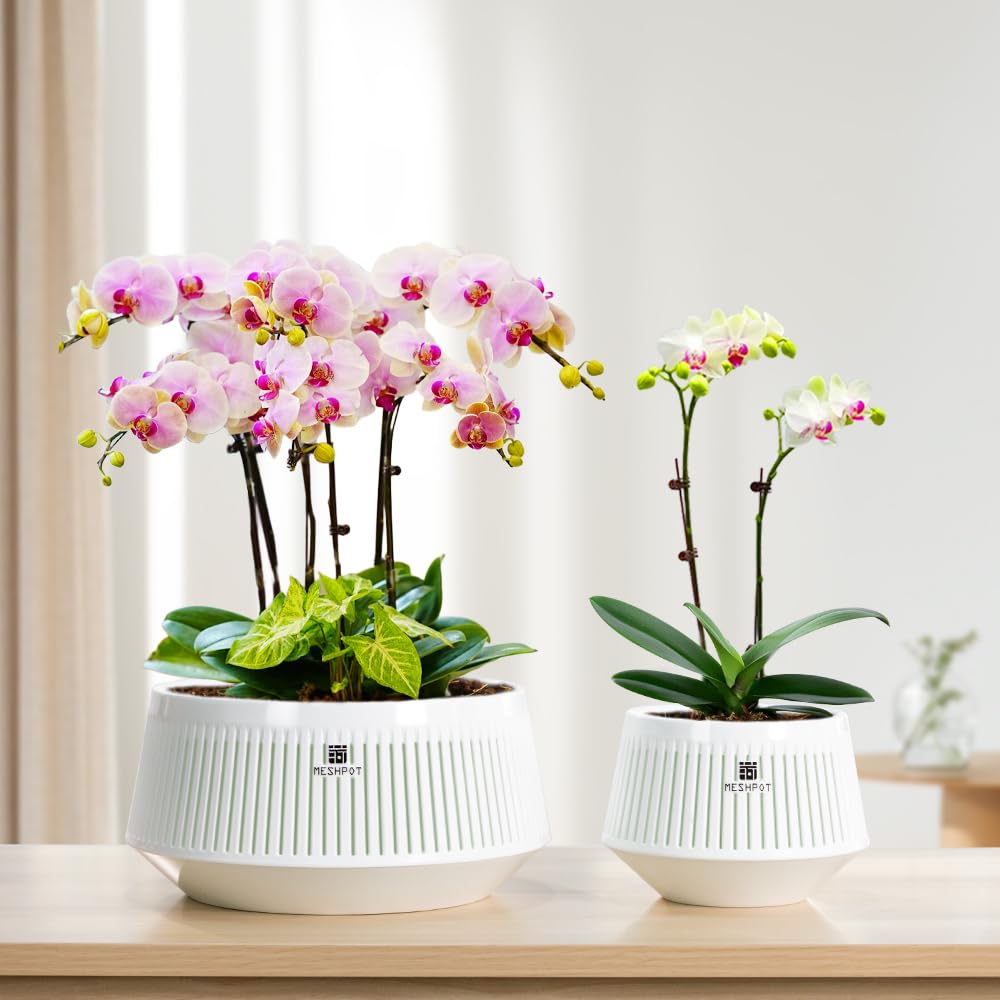 Meshpot 5 inch Orchid Pots with Holes for Repotting,Set of 1,Decorative Orchid Planter with Air-Pruning and Good Air Circulation,Plastic White Orchid Container with Saucers