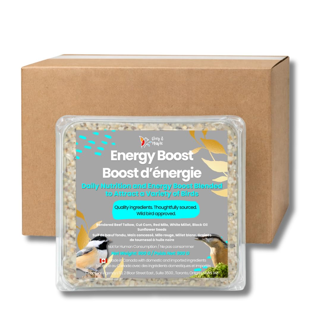 Chirp & Maple, Energy Boost, High-Energy Suet for Wild Birds, Wild Bird Food (3-Pack) 900G