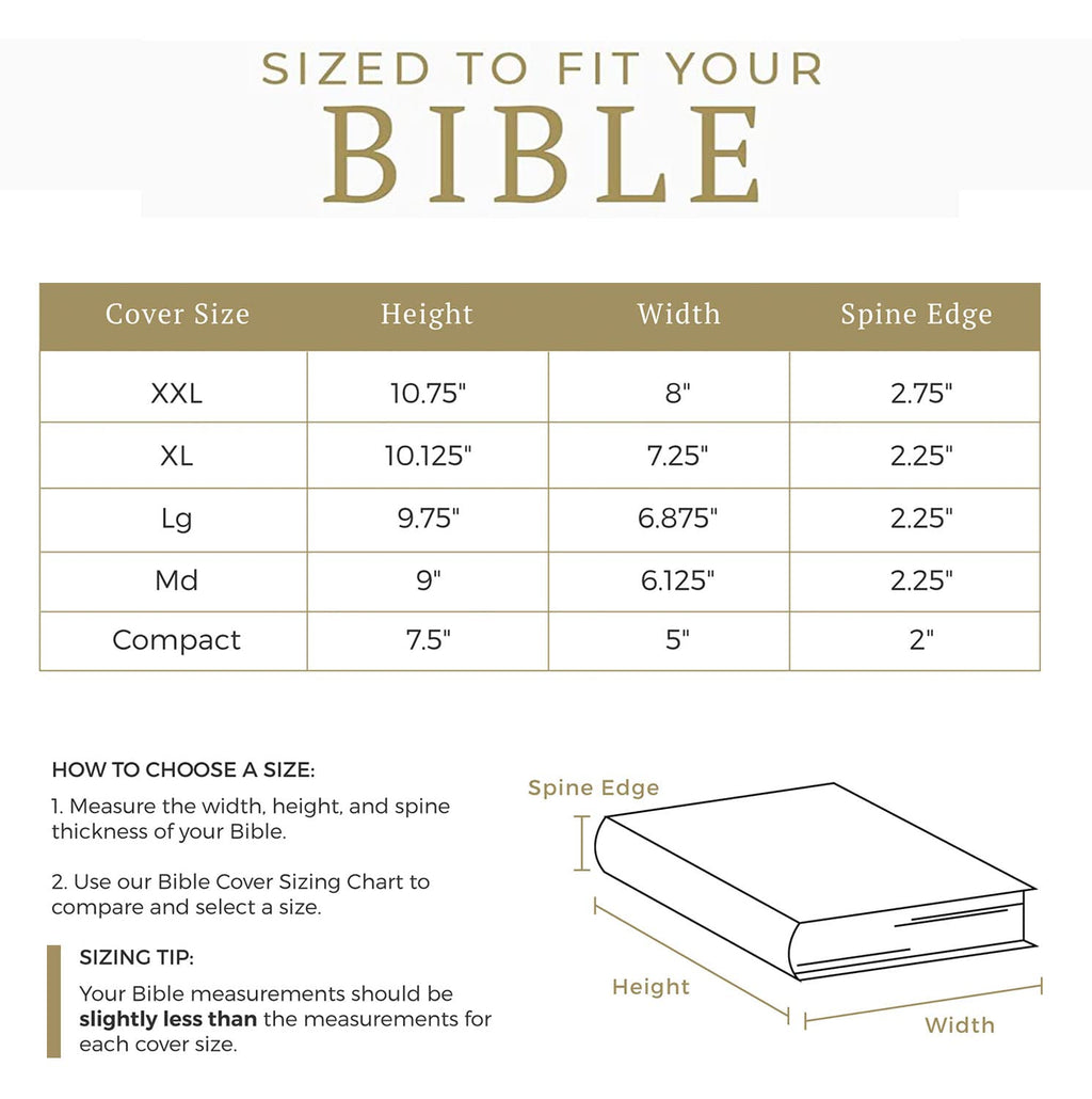 Divinity Boutique Bible Cover Basic Black - Extra Large (21442)