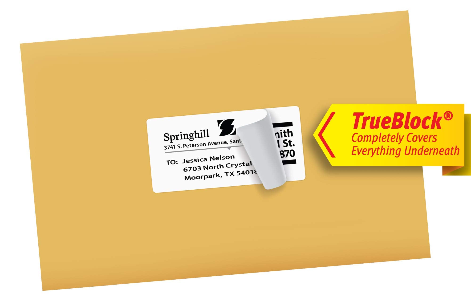 Avery Shipping Labels with TrueBlock Technology for Inkjet Printers, 2" x 4", White, Rectangle, 250 Labels, Permanent (8163) Made in Canada