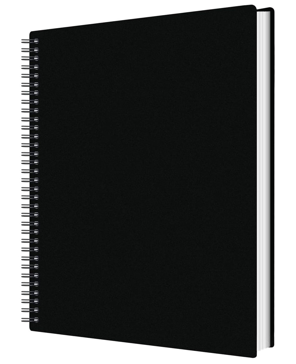 60 Pocket Presentation Book with Clear Sheet Protectors, A4 Portfolio Folder Binder Display 120 Pages Bound Thickened Sheet Protectors Binder for Children Artwork Sheet Music Diamond Paintings, Black