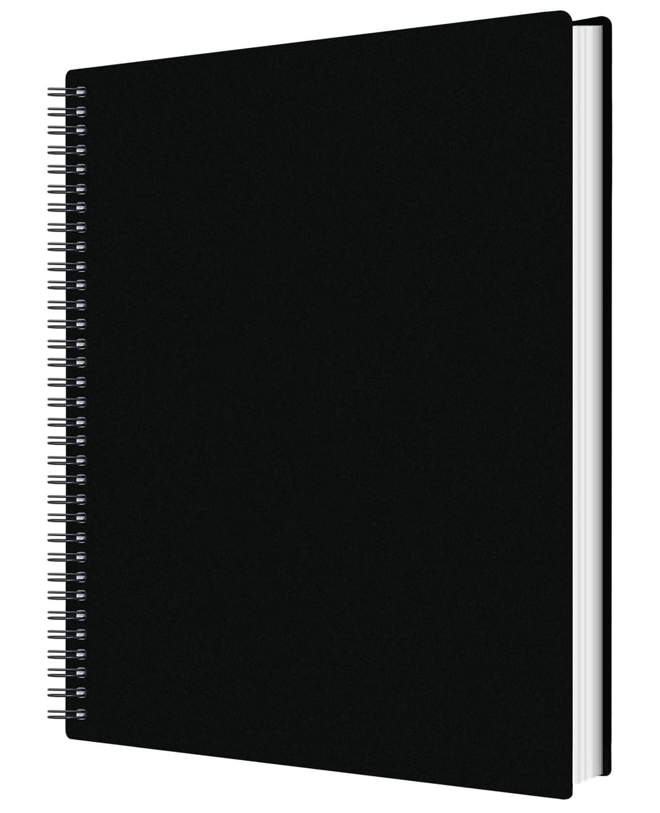 60 Pocket Presentation Book with Clear Sheet Protectors, A4 Portfolio Folder Binder Display 120 Pages Bound Thickened Sheet Protectors Binder for Children Artwork Sheet Music Diamond Paintings, Black