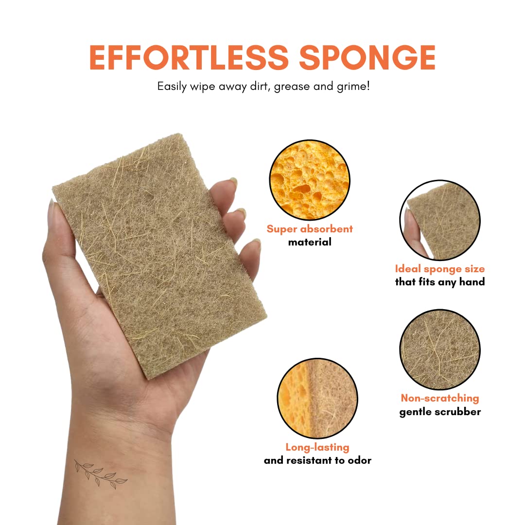 Hot Homey Non-Scratch Plant Based Scrub Sponge - Coconut Fiber and Biodegradable Sponges - Perfect Compostable Scrub Pads for Dishes and Bathroom