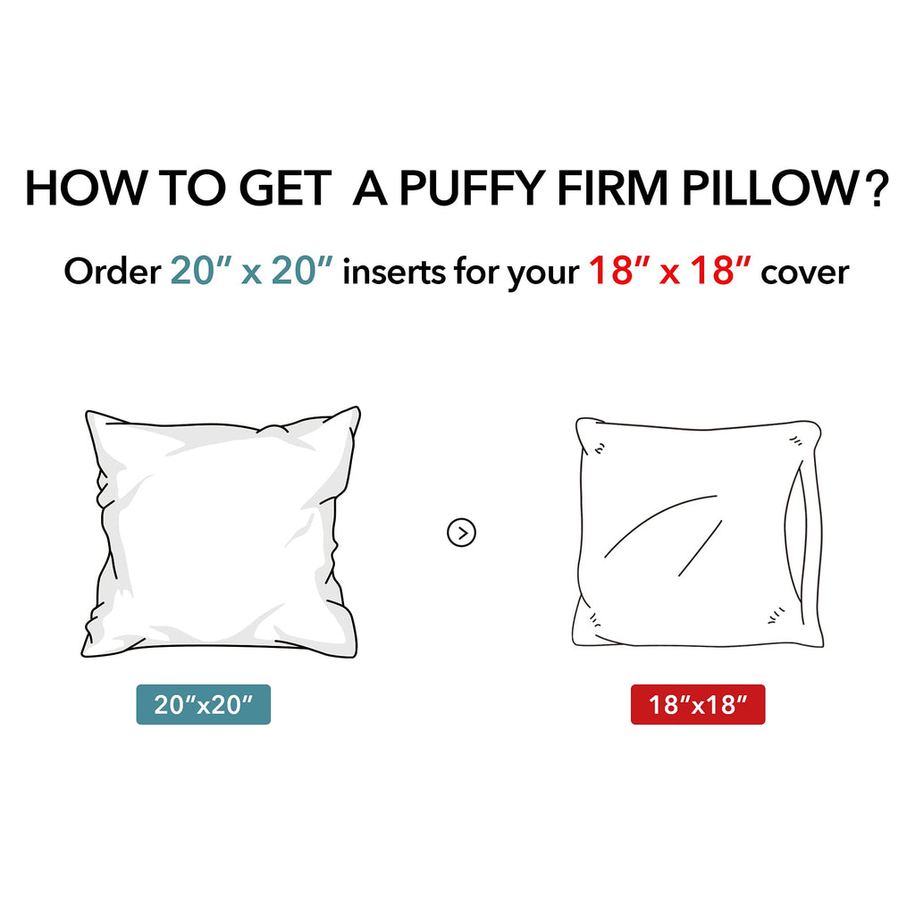 Oubonun 20 x 20 Pillow Inserts (Set of 2) - Throw Pillow Inserts with 100% Cotton Cover - 20 Inch Square Interior Sofa Pillow Inserts - Decorative Pillow Insert Pair - White Couch Pillow