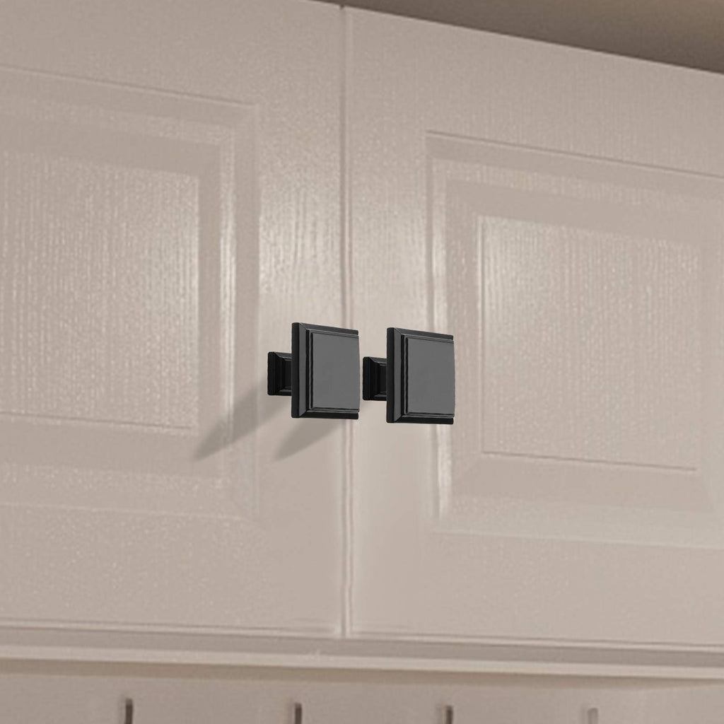goldenwarm Black Dresser Knobs Kitchen Cupboard Knobs - 10 Pack Black Door Knobs Matte Black Drawer Knobs Cabinet Door Hardware Kitchen Drawer Knobs Bathroom Cupboard Knobs