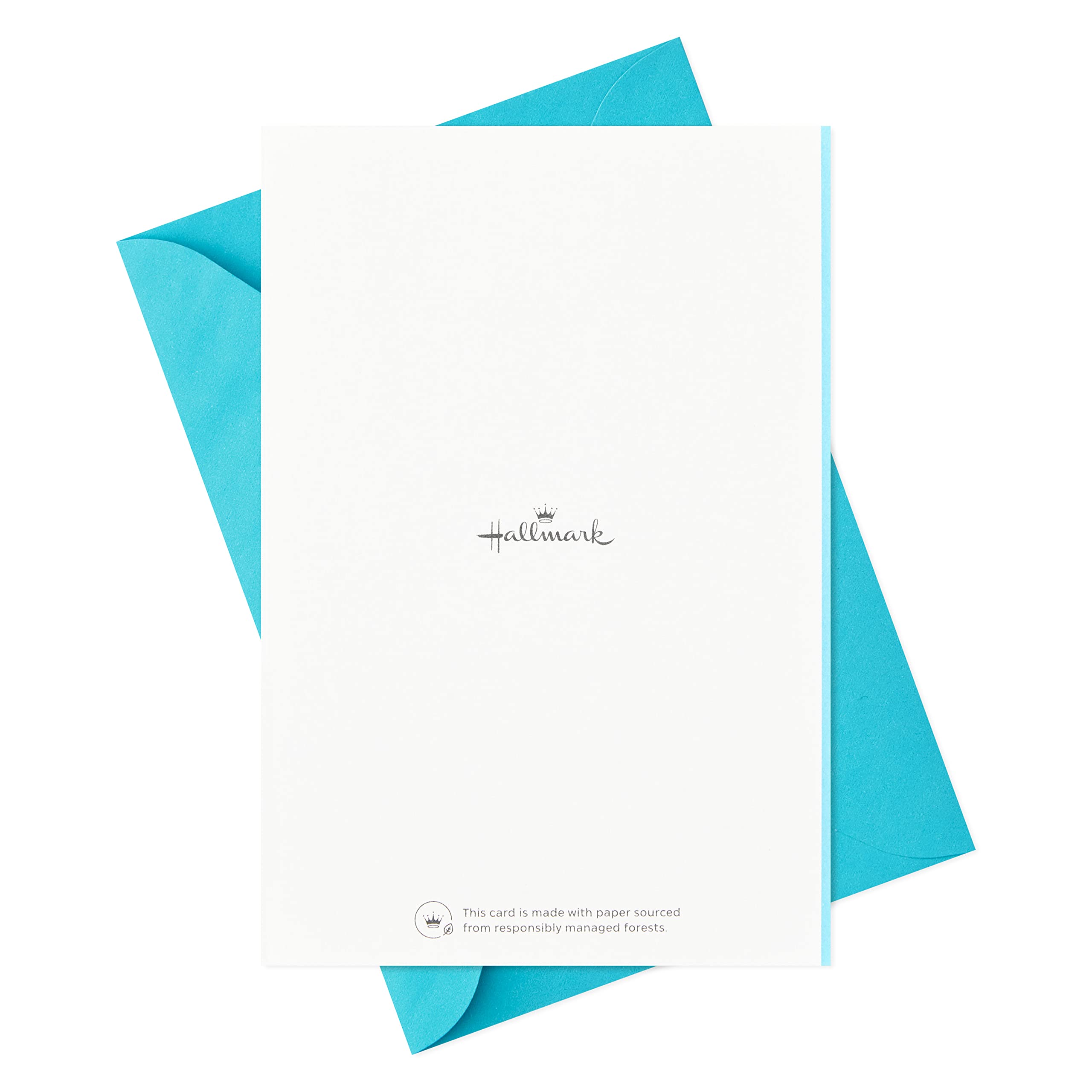 Hallmark Birthday Cards Assortment, 36 Cards with Envelopes (Bright Birthday Wishes)