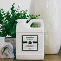 KingsFleet - Hemp Oil | 16oz | Canadian Made | Organic Finishing Oil for Wood | All Natural Alternative! | Restore, Protect, and Maintain!