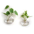 Mkono 2 Pack Glass Wall Hanging Planter Wall Mounted Plant Vase Indoor Air Plants Terrariums for Home Office Living Room Decor Oblate