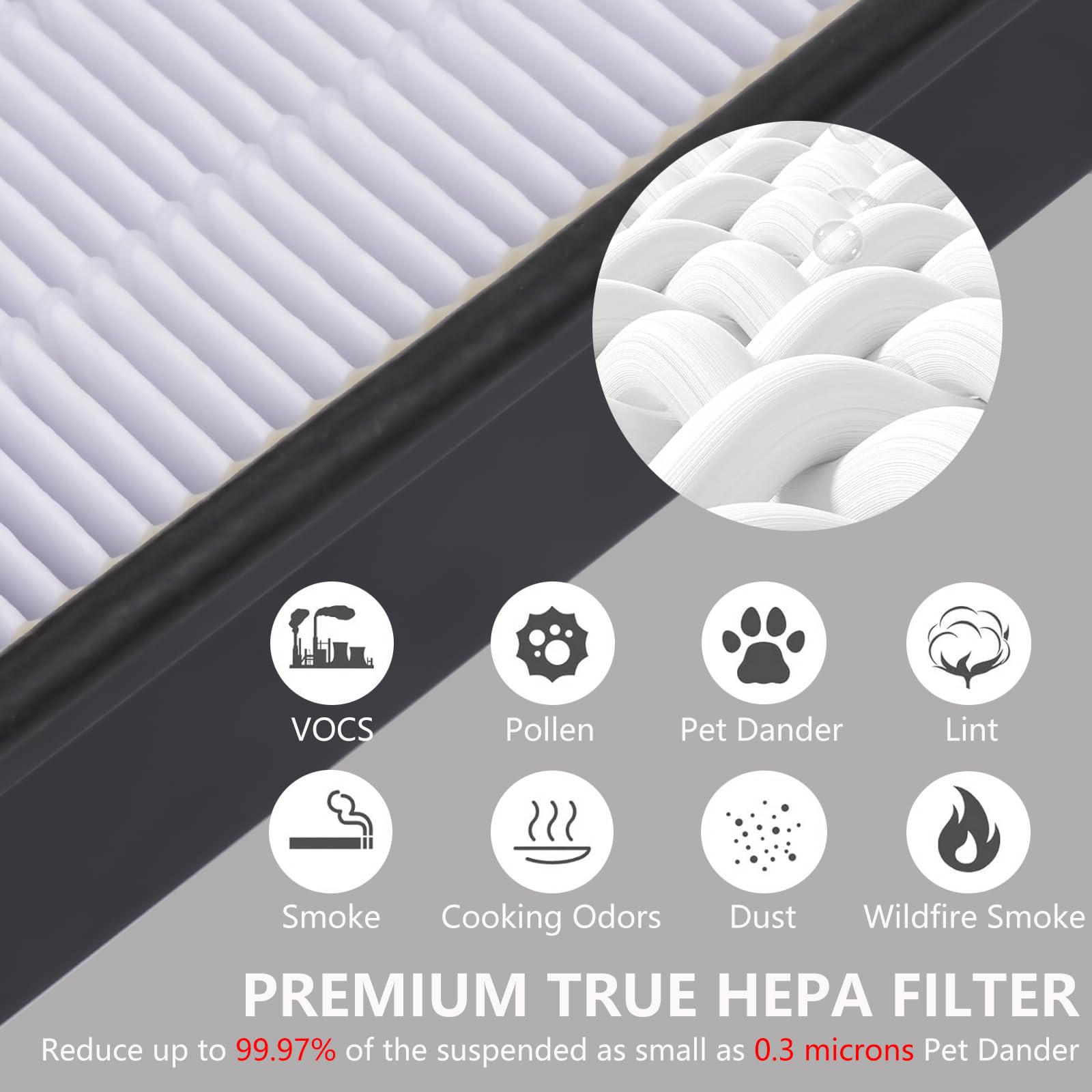 4 True HEPA Replacement Filter H & 8 Carbon Pre Filter B HRF-H1 HRF-H2 Compatible with Honeywell H, HPA050, HPA150, HPA160, HPA060, HHT055, HHT155 Air Purifier