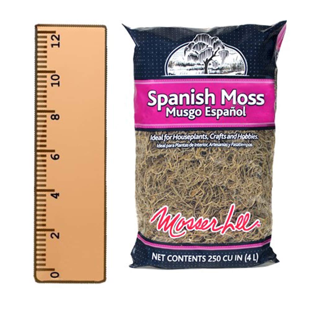 Mosser Lee Spanish Moss Soil Cover | Natural Decorative Moss for Crafts, Terrariums, Fairy Gardens & Indoor Plants | Hides Soil & Helps Retain Moisture | 250 cu in Bag
