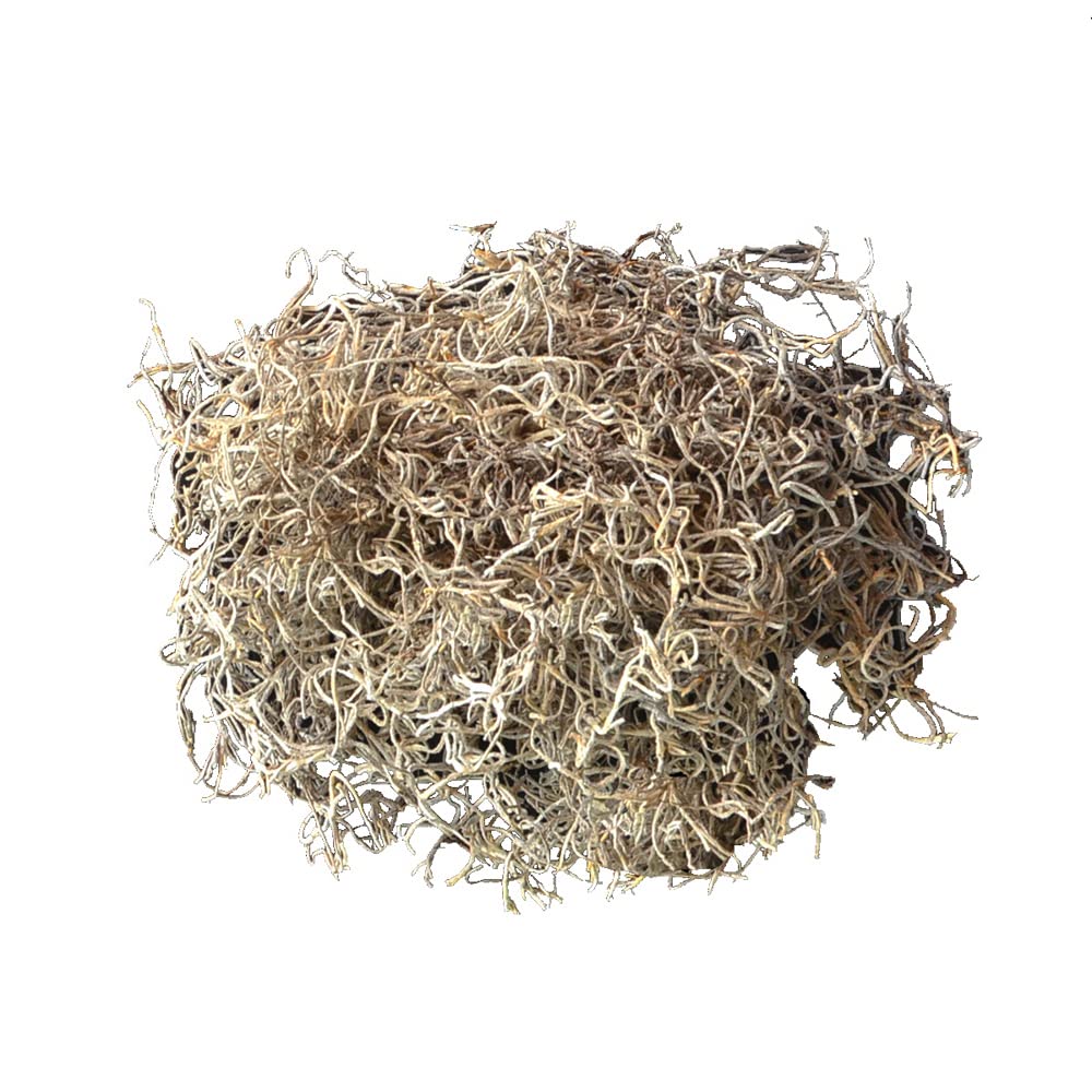 Mosser Lee Spanish Moss Soil Cover | Natural Decorative Moss for Crafts, Terrariums, Fairy Gardens & Indoor Plants | Hides Soil & Helps Retain Moisture | 250 cu in Bag