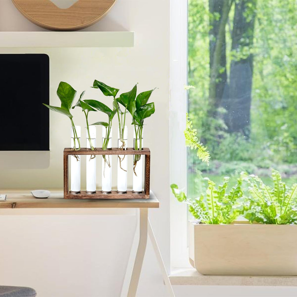Decoration, Plant Propagation Station Decoration Maison Garden Decor, Indoor Home Office Desk Decor Plant Holder Flower Pot Gifts for Women Mom Best Friend Birthday Gifts 5 Planter Glass Vase