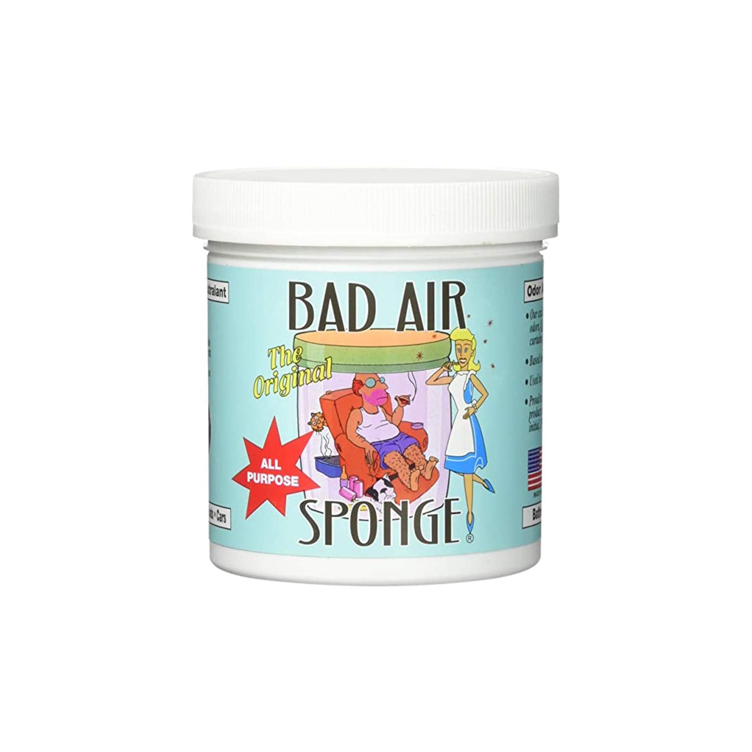 Bad Air Sponge Odor Neutralizer, 1-Pound