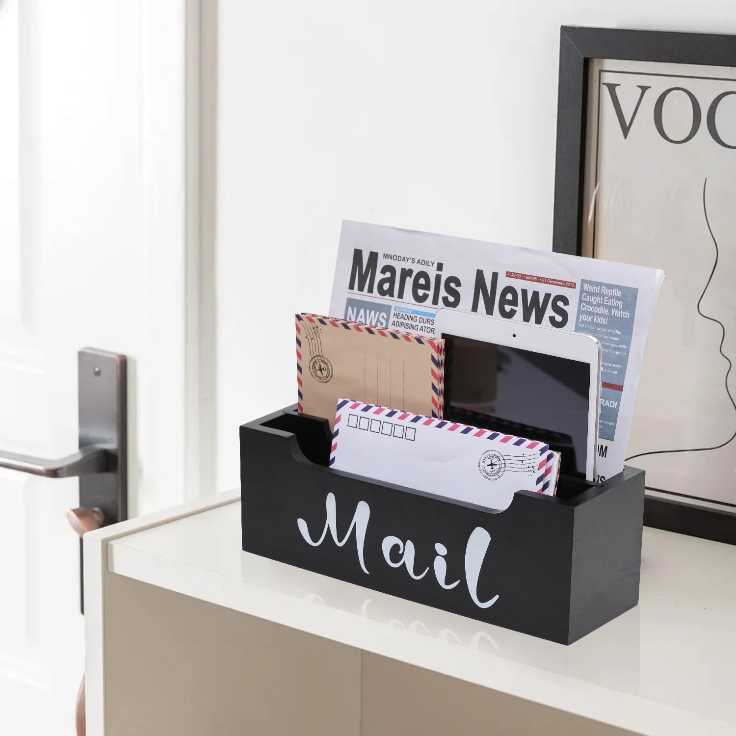 ZBBCTUS Mail Organizer Wall Mounted with 2 Slots & Removable Grids, Black Mail Sorter Basket, Wood Desk Mail Holder Countertop Hanging for Home Office Decor