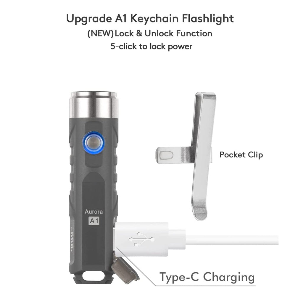 RovyVon Aurora A1 USB-C Keychain Flashlight, 650 Lumens Super Bright with EDC Pocket-Sized, Momentary On, Lock Mode, Choice for Camping Emergency Outdodr(ArmyGreen)