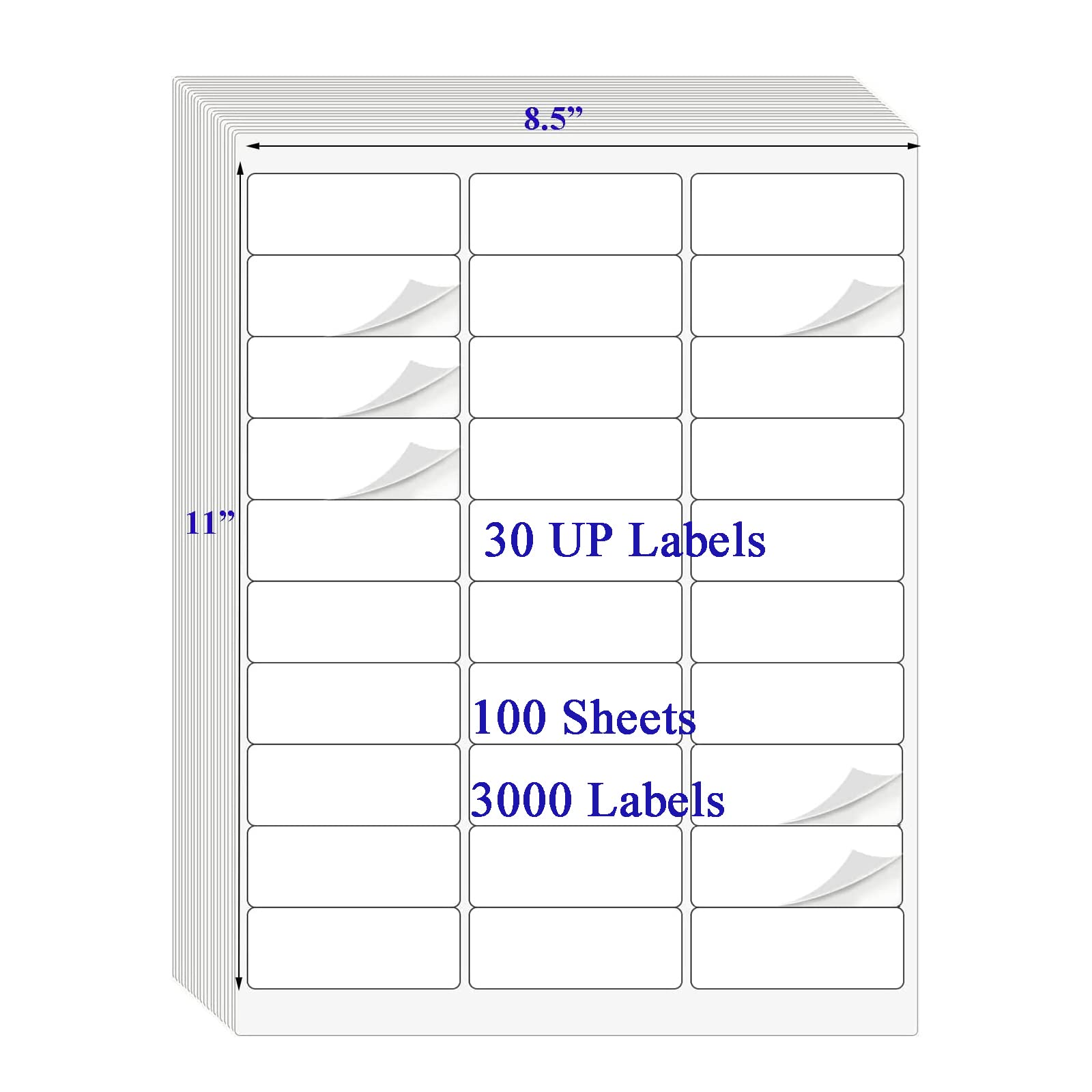 30 UP Labels 1" x2-5/8 Mailing Labels Shipping Address FBA Labels for Laser/Inkjet Printers, White Blank Sticker Name Tags, Printable Label for 5160 Printer, (100 Sheets, 3000 Labels)