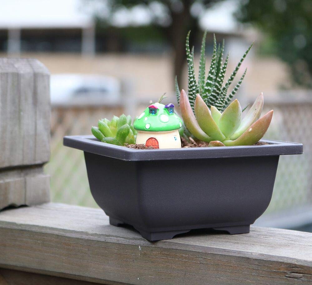 MUZHI 8PCS/Pack Retro Style Square Small Bonsai Training Pots with Tray, Mini Plastic Mocha Garden Flower Pot 4.7"