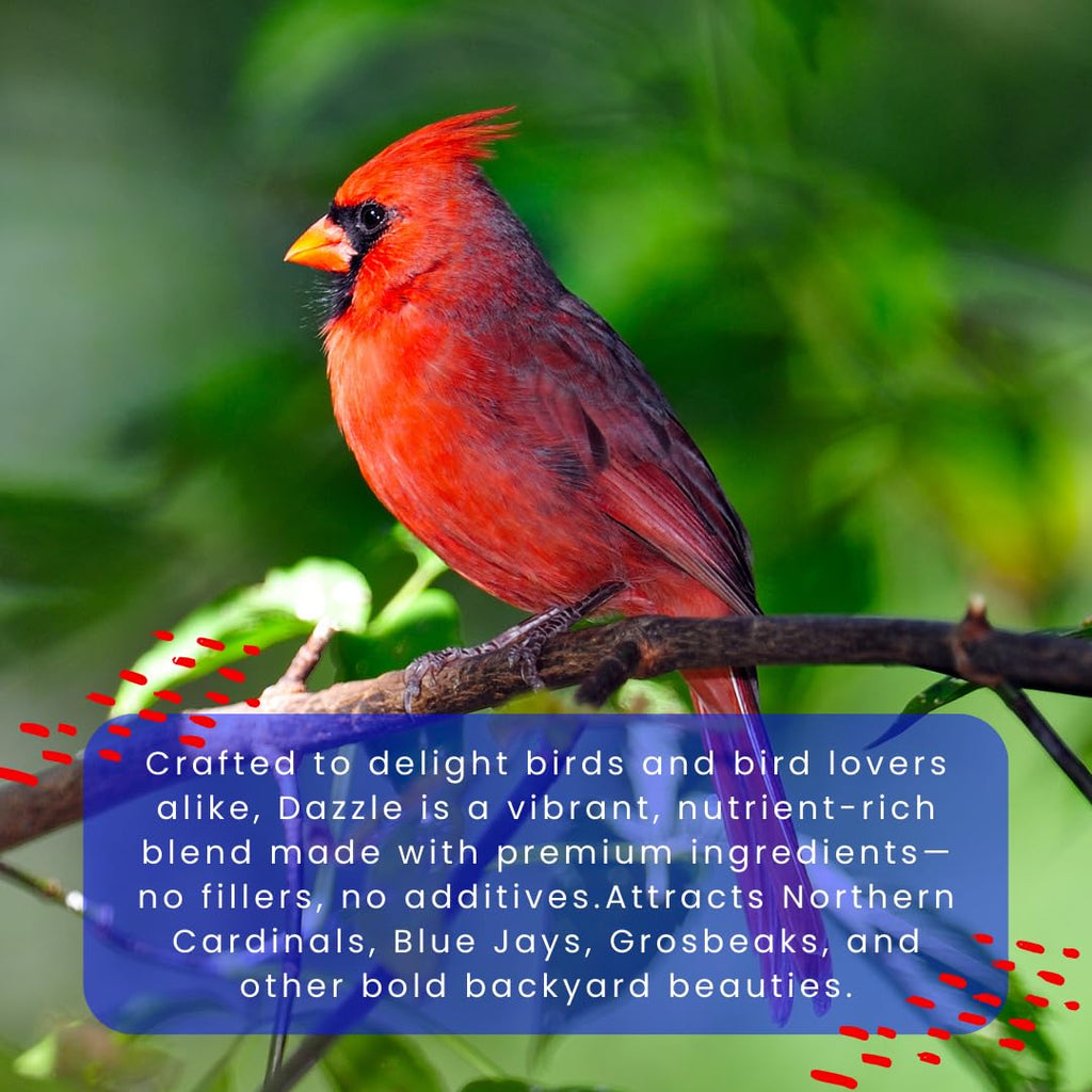 Cardinal Bird Food – Chirp & Maple Dazzle, No Mess Premium Bird Seed for Northern Cardinals, Blue Jays & Grosbeaks, Fruit & Nut Blend with Safflower & Peanuts, 750g