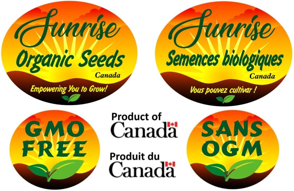 Mung Beans Sprouting Seeds | Féves Mung Graines à Germer | Organic & Non-GMO | Net Wt. 250 Grams (Approx. 3,700 Seeds) | High Germination Rate | Packaged in Canada