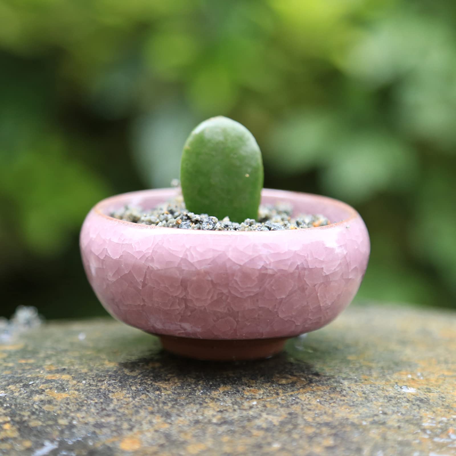 TOPZEA 16 Pack Mini Ceramic Succulent Planter Pot, 2.5 Inch Ice Crack Cactus Seed Starter Pots Micro Landscape Planter with Drainage Hole & Bamboo Tray for Moss Plant, Baby Succulent, Herb