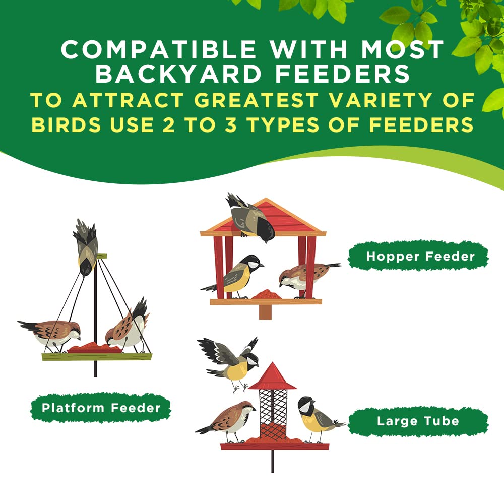 Premium Wild Bird Seed | Willowbrie Bird Seed | Birdseed for Outdoor Feeders | Wild Bird Food | Wild Bird Feed | 5lb Bag
