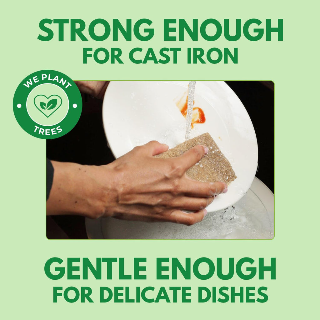AIRNEX 10 Pack Biodegradable Natural Kitchen Sponges - Eco Friendly Cellulose and Coconut Dish Scrubbers - Odourless, Non Scratch, Dual Sided Multipurpose Sponges