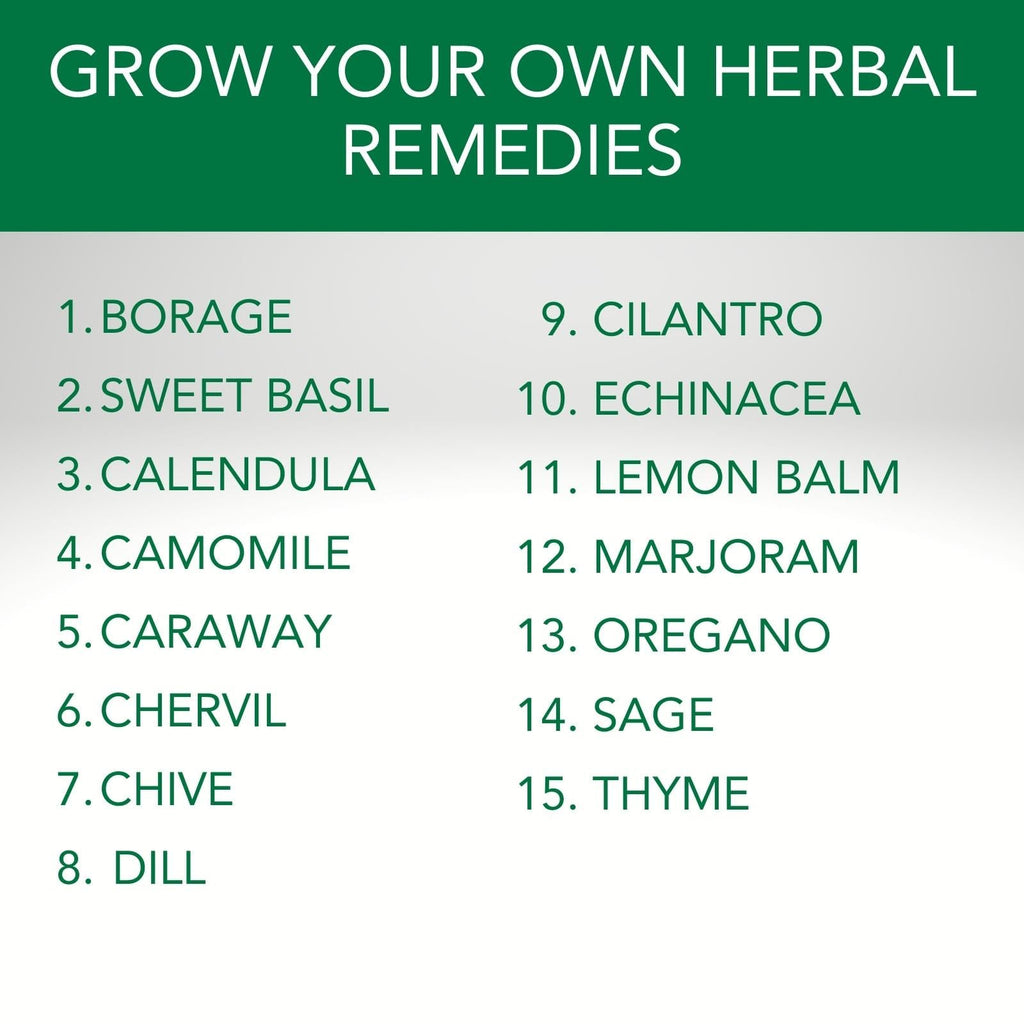 Herbal Remedy Seed Pack | 15 Varieties of Flower & Herb Seeds for Your Medicinal Garden | Easy to Grow, Balcony-Friendly | Borage, Basil, Calendula, Chamomile, Caraway & More | Limitless Growth