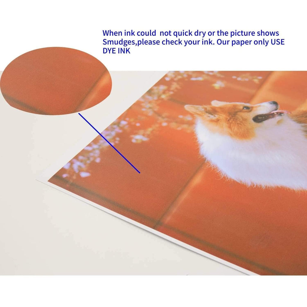 Koala Double Side Glossy Photo Paper 11x17 Inches 120gsm 100 Sheets Compatible with Inkjet Printer
