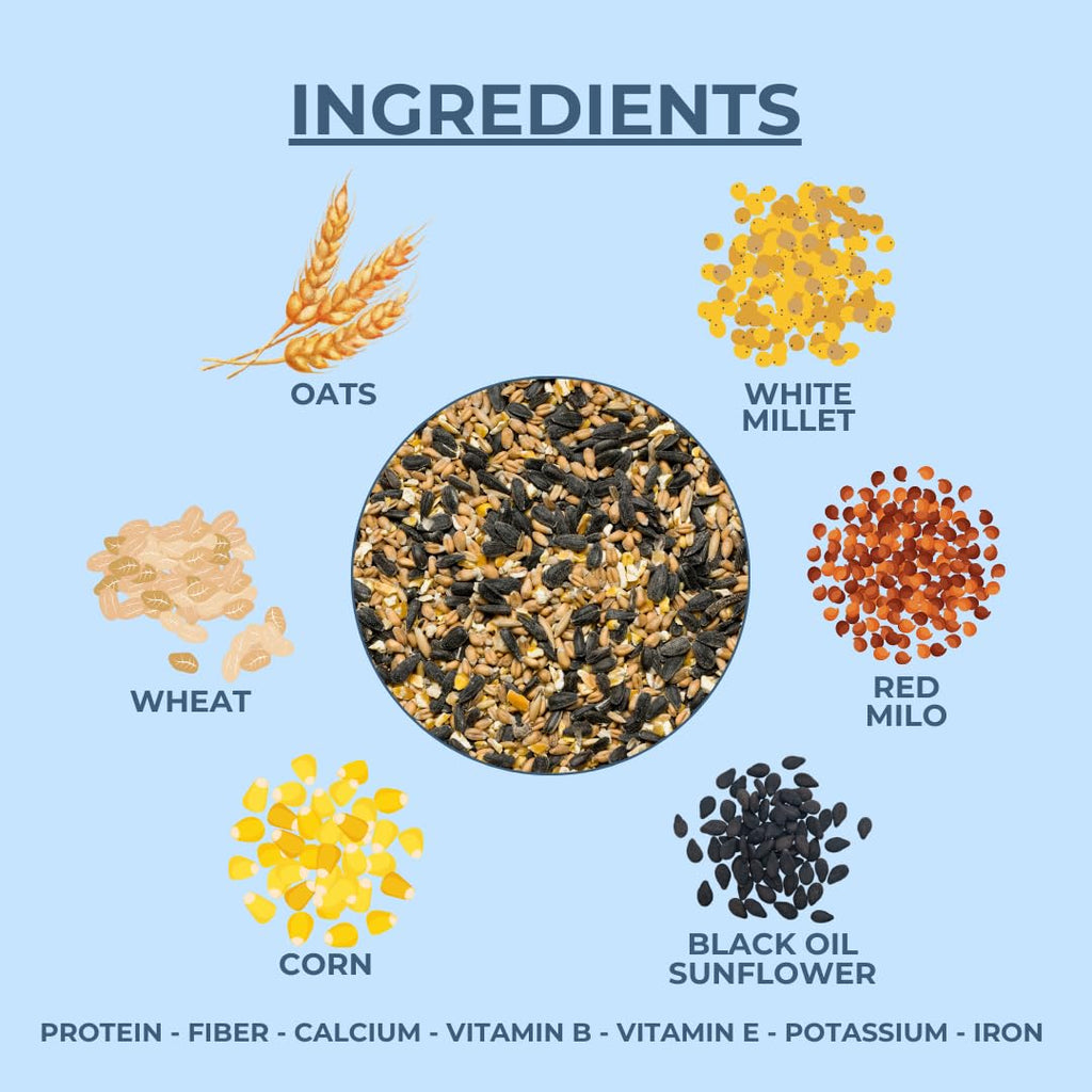 Ma Poule Express - Proudly Canadian Bird Feed – 2.27 kg | Wild Bird Seed Mix | Premium Bird Food for Feeders | Sunflower, Millet, Corn | Attracts Cardinals, Finches & More ... |