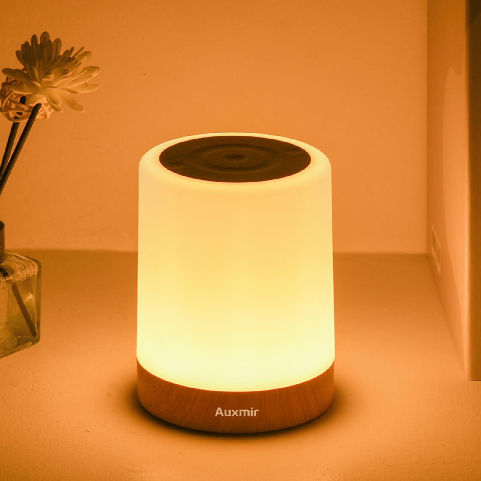 Auxmir LED Night Light for Kids Baby Bedside Lamp Touch Dimmable Tabletop RGB Colors Changing 5 Brightness Adjustable Rechargeable Portable Lamp for Bedroom Living Room Outdoor Camping