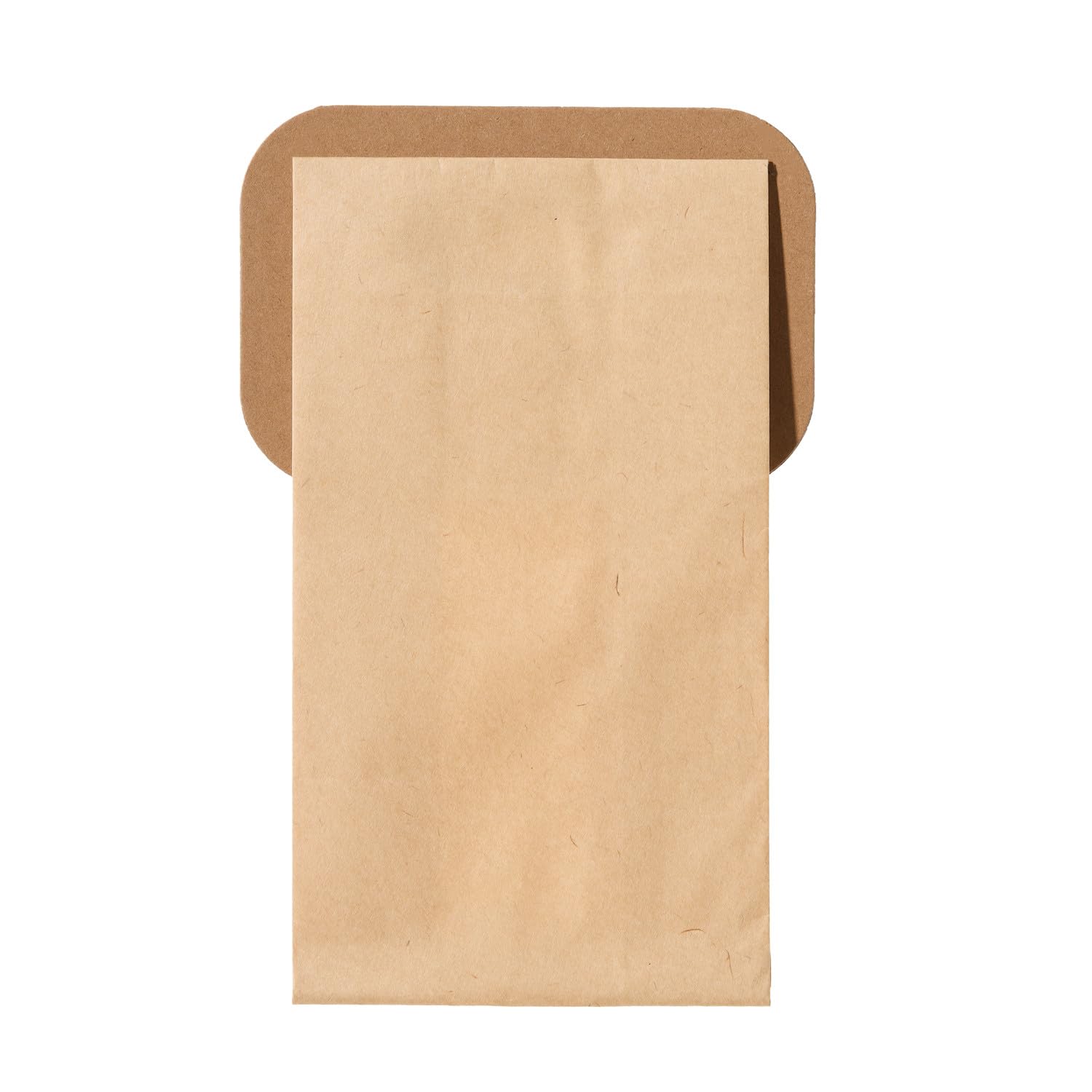 Clean Fariy Vacuum Cleaner Bags Compatible with ELECTROLUX Canister Style C Vacuums 20pack