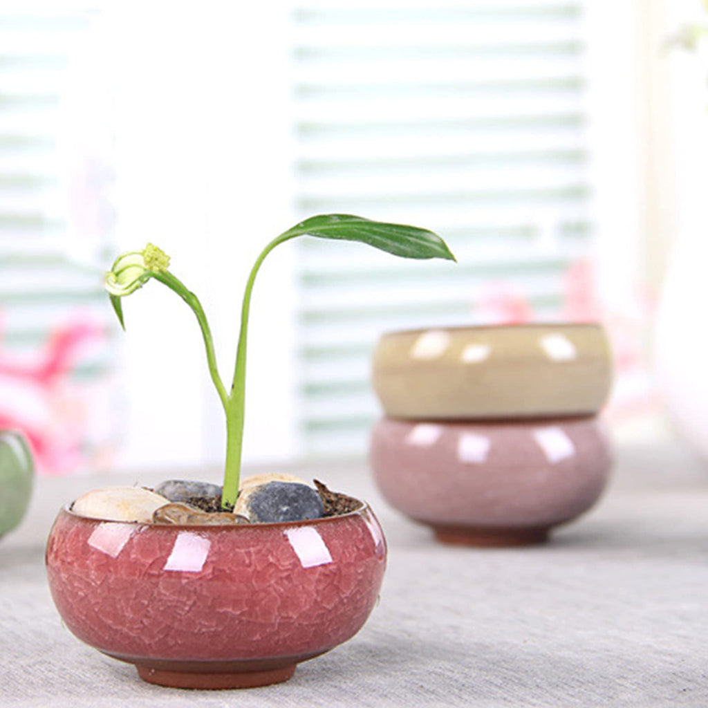 TOPZEA 16 Pack Mini Ceramic Succulent Planter Pot, 2.5 Inch Ice Crack Cactus Seed Starter Pots Micro Landscape Planter with Drainage Hole & Bamboo Tray for Moss Plant, Baby Succulent, Herb