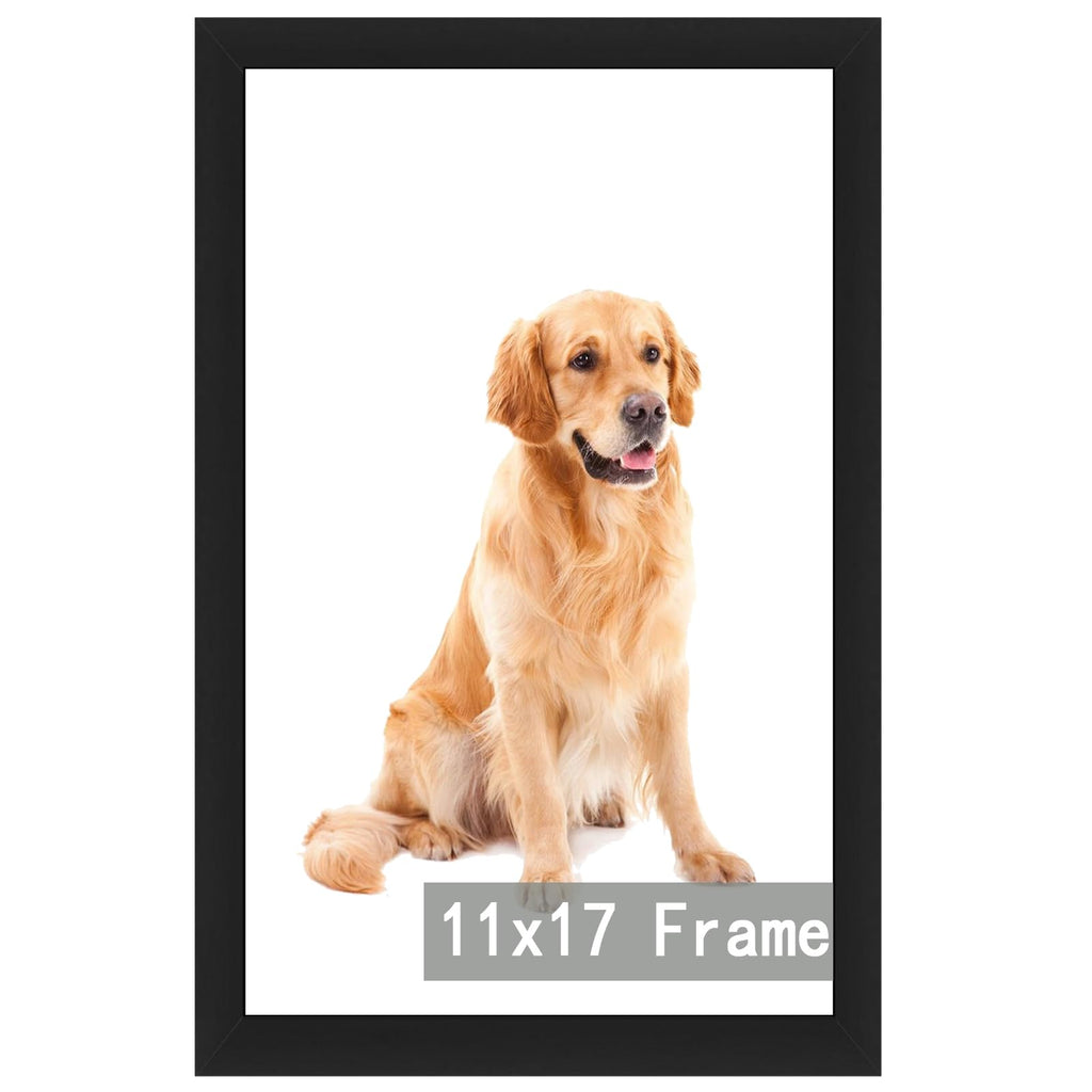 11x17 Picture Frame Display 11x17 Without Mat, Photo Frames for Wall Mounting or Table Top Display, Engineered Wood with Hd Plexiglass - Horizontal and Vertical,Black