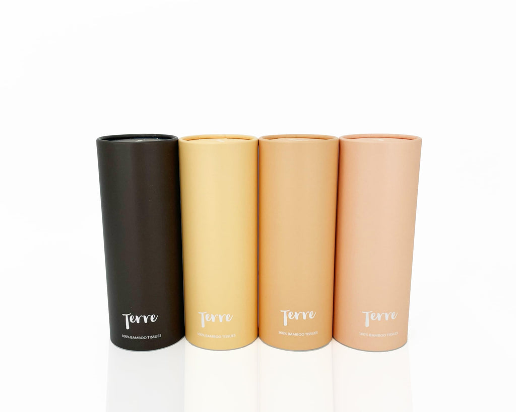 Terre Bamboo Car Tissues, 3-Ply, Unbleached, Refillable, 4 Pack (200 Sheets Total), FSC-Certified, Eco-Friendly, On-The-Go Facial Travel Tissues, Tree-Free, Plant Based, Hypoallergenic, Sustainable