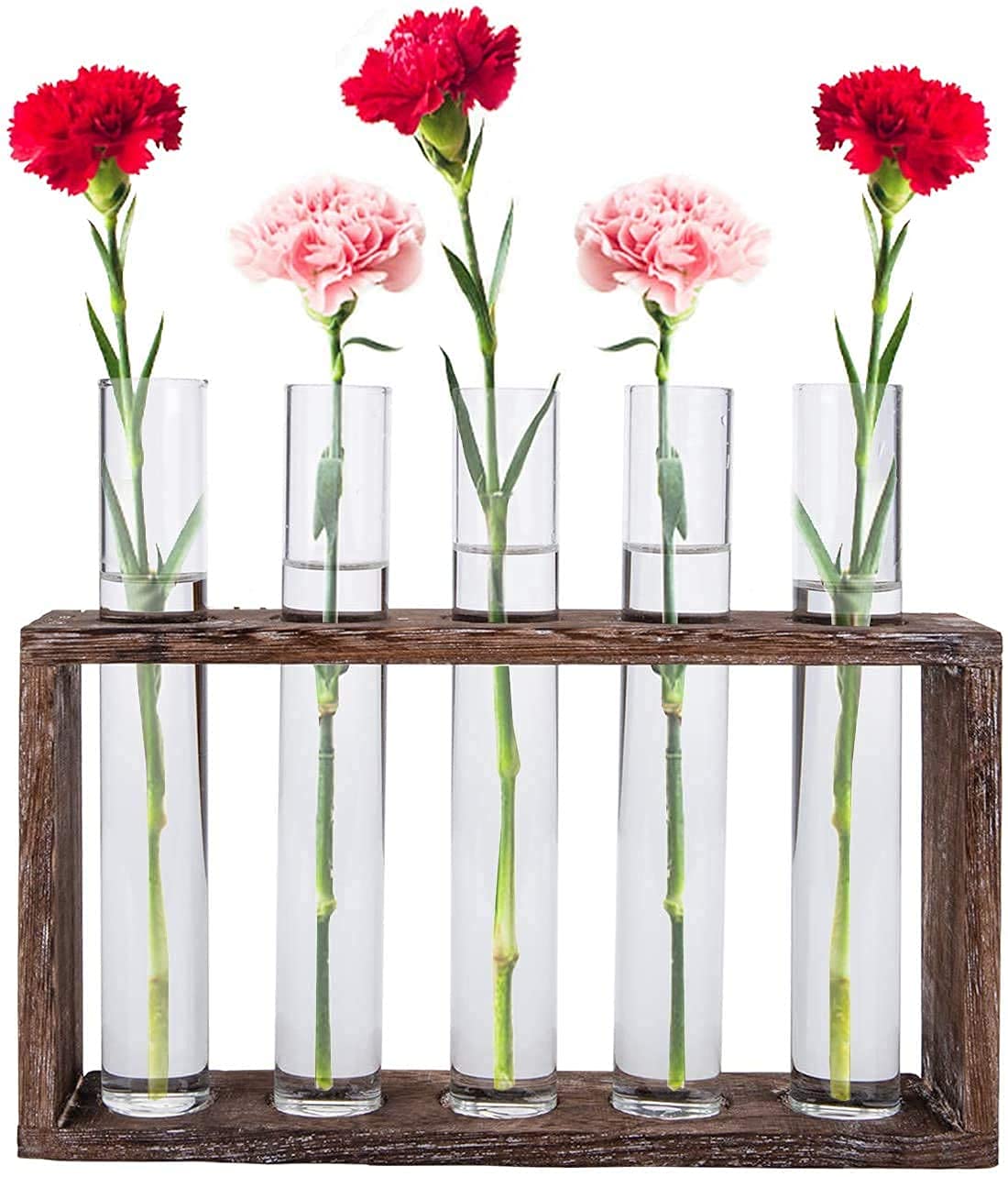 Jucoan Glass Planter Propagation Station, Wall Hanging Plant Terrarium with Wooden Stand, Glass Test Tube Flowers Bud Vase for Hydroponic Plants, Home Office Decor (5 Test Tubes &1 Brush)