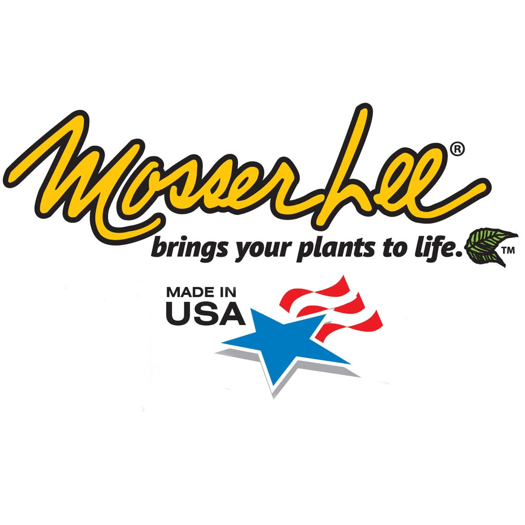 Mosser Lee Spanish Moss Soil Cover | Natural Decorative Moss for Crafts, Terrariums, Fairy Gardens & Indoor Plants | Hides Soil & Helps Retain Moisture | 250 cu in Bag