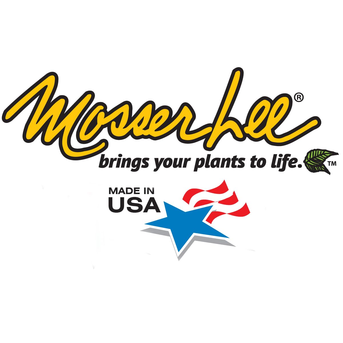 Mosser Lee Spanish Moss Soil Cover | Natural Decorative Moss for Crafts, Terrariums, Fairy Gardens & Indoor Plants | Hides Soil & Helps Retain Moisture | 250 cu in Bag