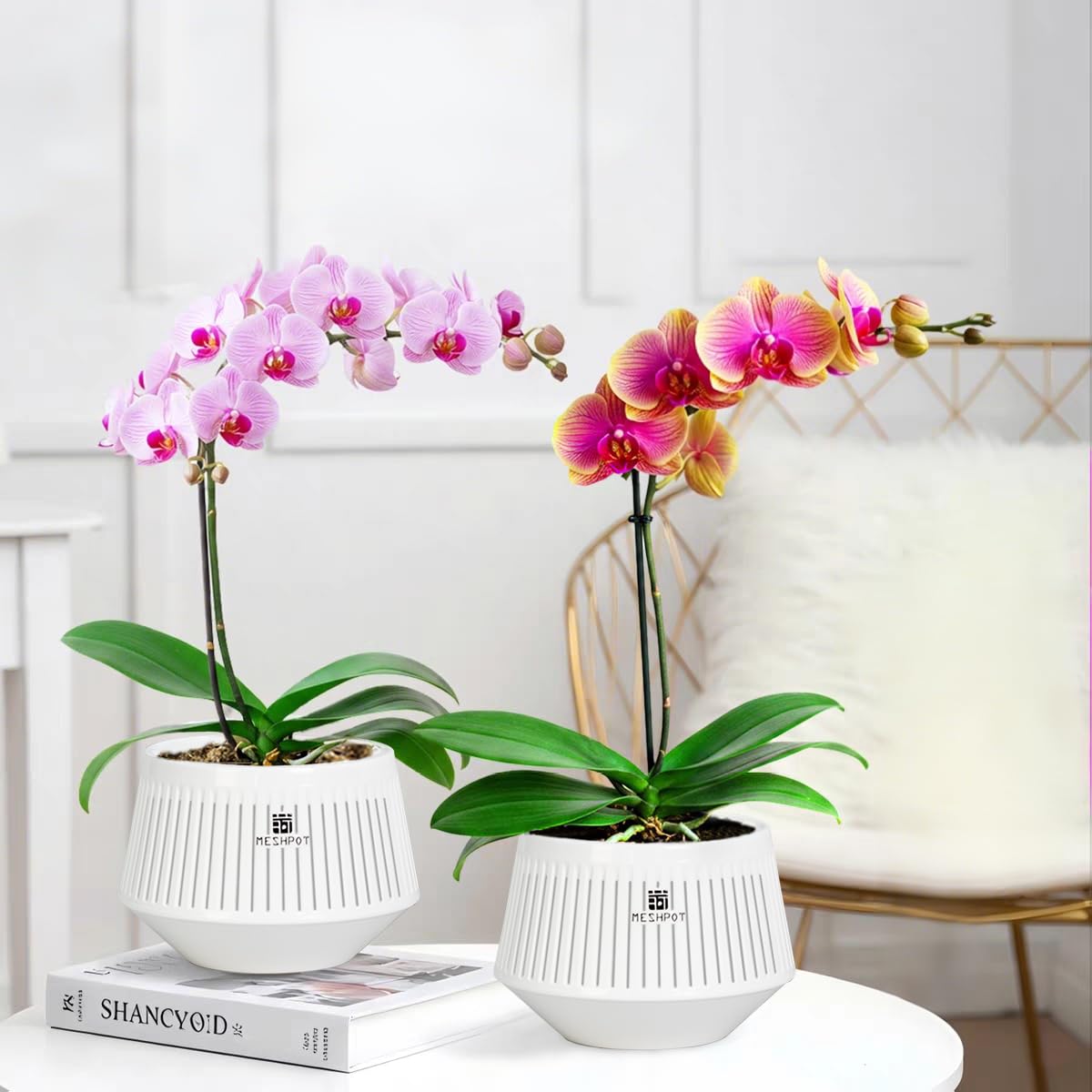 Meshpot 5 inch Orchid Pots with Holes for Repotting,Set of 1,Decorative Orchid Planter with Air-Pruning and Good Air Circulation,Plastic White Orchid Container with Saucers